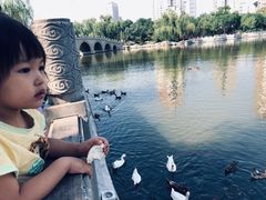 -迎泽公园