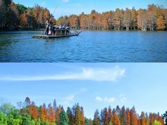 -尚湖风景区