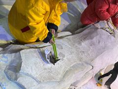 -芜湖新华联大白鲸海洋公园