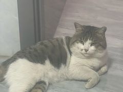-美联众合动物医院·24h转诊中心