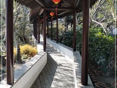 -上海醉白池公园