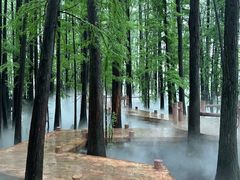 -东湖落雁景区