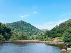 -桃花岭景区
