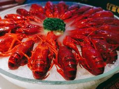 经典冰镇龙虾-红盔甲·小龙虾(天钥桥店)