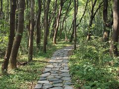 -同里国家湿地公园