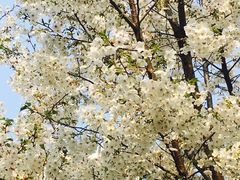 -苏州河梦清园环保主题公园