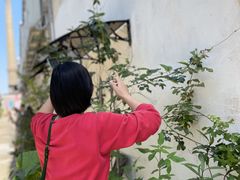 -广州市紫泥堂文化创意园景区