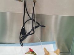 -万博宠物医院·手术·诊疗(未央凤城五路店)