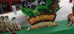 -酷嗒动物文化乐园(cutezoo西溪乐天城店)