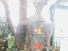 -呀诺达热带雨林