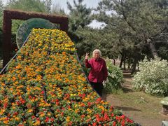 -长春公园(普阳街道)