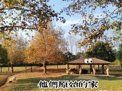 -杭州野生动物世界