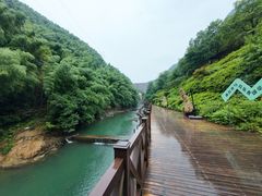 -长谷洞天