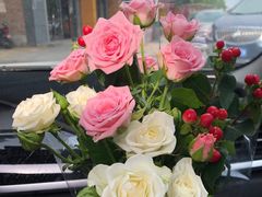 -西西弗书店＆矢量咖啡(花园城店)