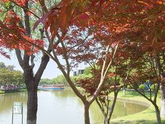 -上海鲜花港