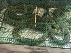 -森谷美食公园(杨行店)
