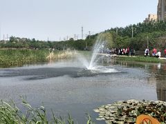 -前关湿地公园