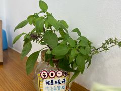 -呷贺盐酥鸡(抄纸巷店)
