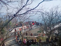 -紫金山山顶公园