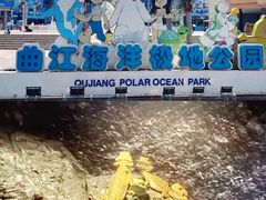 -西安曲江海洋极地公园