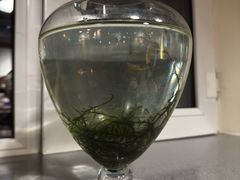 -秋林西餐厅(总店)