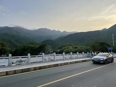 -杨梅坑