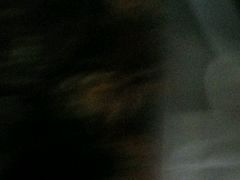 -紫燕百味鸡(明湖店)