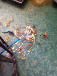 -酷嗒动物文化乐园(cutezoo西溪乐天城店)