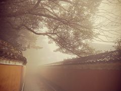 -普陀山慧济禅寺