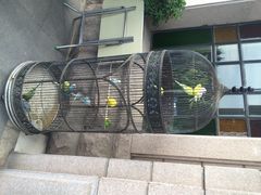 iphone_upload_pic-老味道民宿(栈桥店)