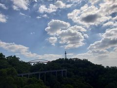 -金鸡山公园
