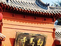 -洛阳白马寺