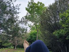 -燕郊植物园