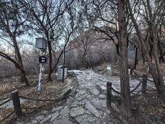 -阳台山自然风景区