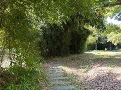 -堤角公园