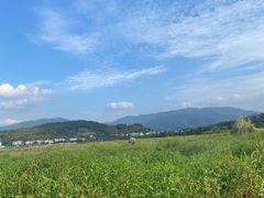-四明湖