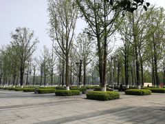 -百林公园-两江幸福广场