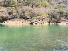 -九曲溪竹筏码头