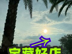 -野狸岛