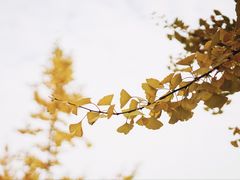 -浙江农林大学(东湖校区)