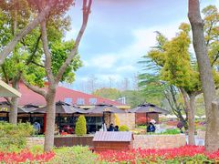 -上海野生动物园