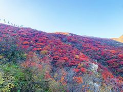 -周口店坡峰岭风景区