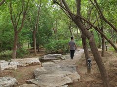 -燕郊植物园