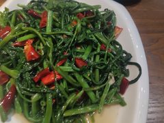 炝炒空心菜-虾元素品质川菜