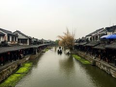 -老品芳