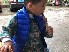 -张醪糟