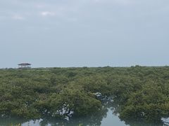 -北海金海湾红树林生态旅游区