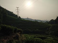 -东航云逸酒店(九溪烟树店)