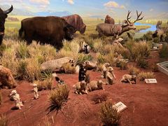 -陕西自然博物馆