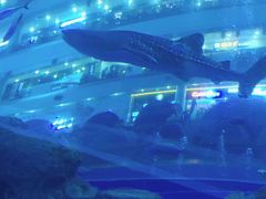 -成都浩海立方海洋公园